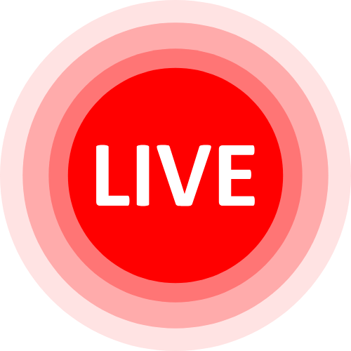 Nude Cam Roulette